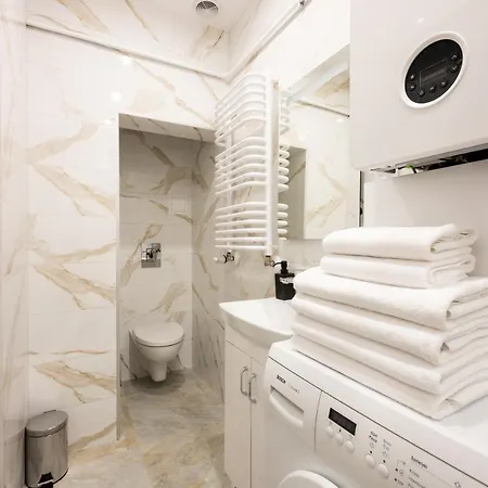 Native Dietla 17 公寓 克拉科夫