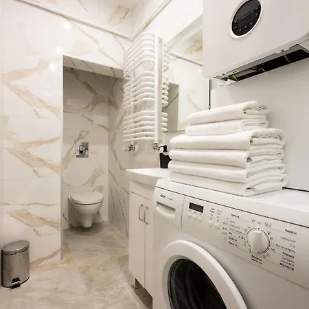 Native Dietla 17 公寓 克拉科夫