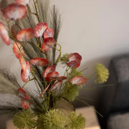 Native Dietla 17 * קרקוב